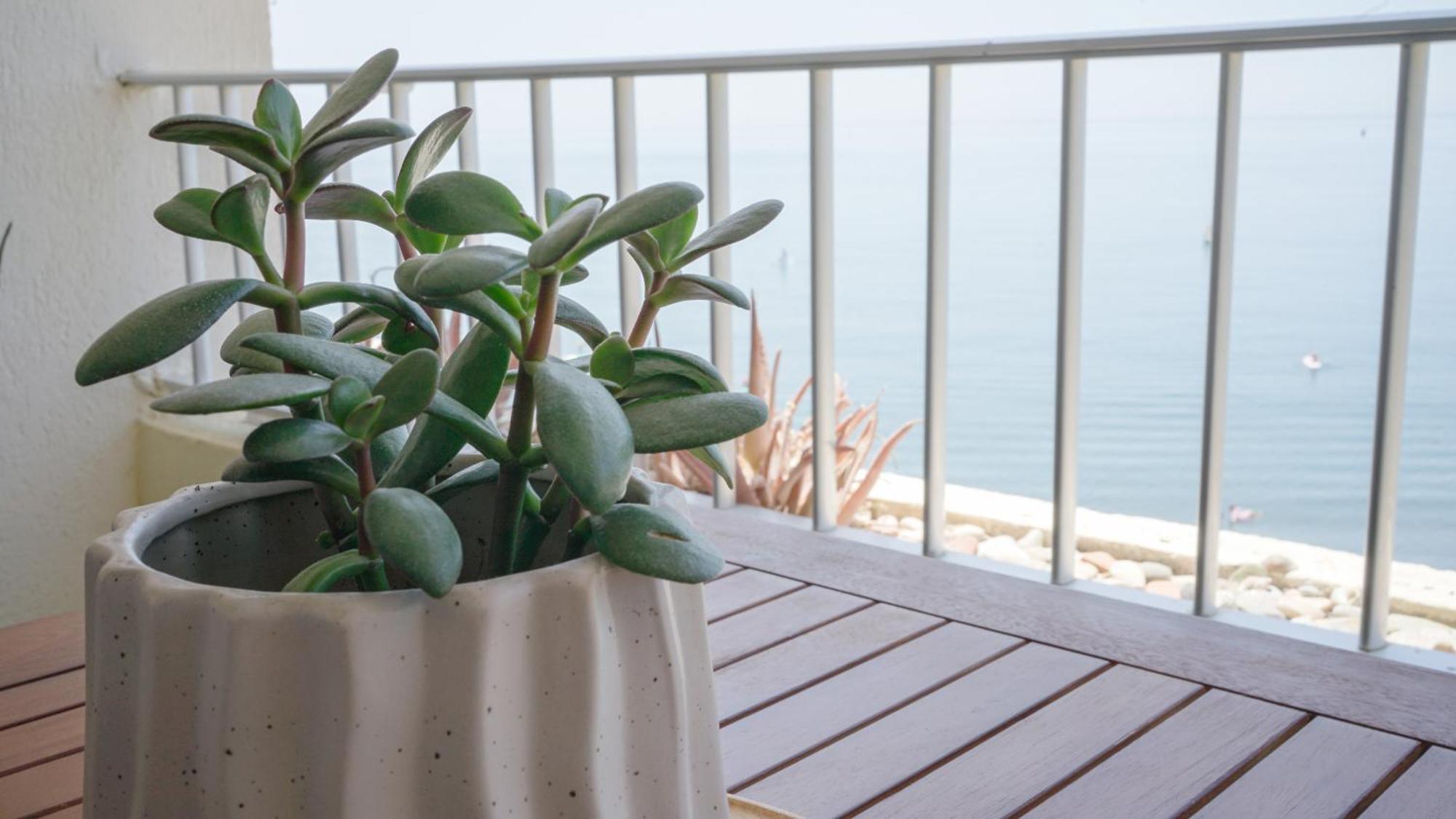 Apartamento Brisa Del Mar Almuñécar Buitenkant foto